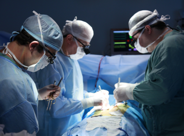 Liver Transplant Cost In India